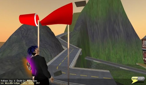 Looking at the wind blow